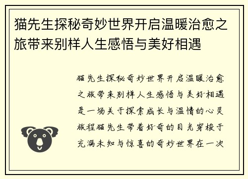 猫先生探秘奇妙世界开启温暖治愈之旅带来别样人生感悟与美好相遇 猫先生探秘奇妙世界开启温暖治愈之旅带来别样人生感悟与美好相遇